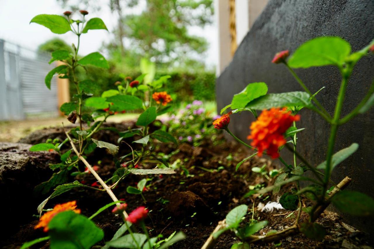 Homestay Goodtimewithfar House Moshi