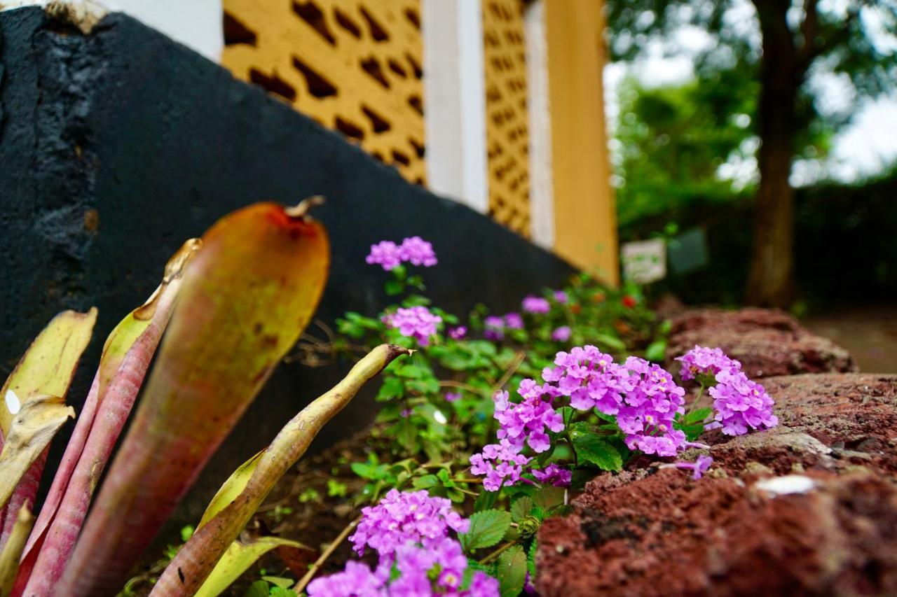 Homestay Goodtimewithfar House *