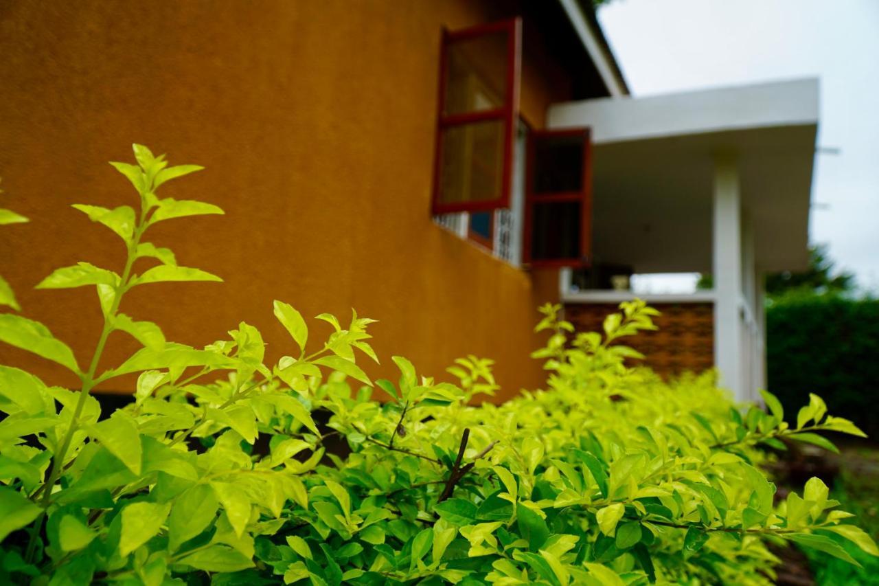 Goodtimewithfar House * Moshi